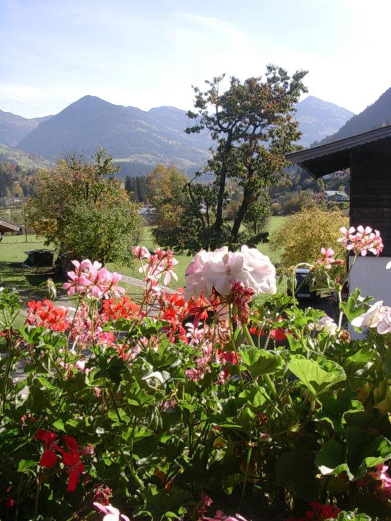 Malernhof Bed & Breakfast Kitzbühel Eksteriør bilde